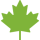 maple-leaf (3)